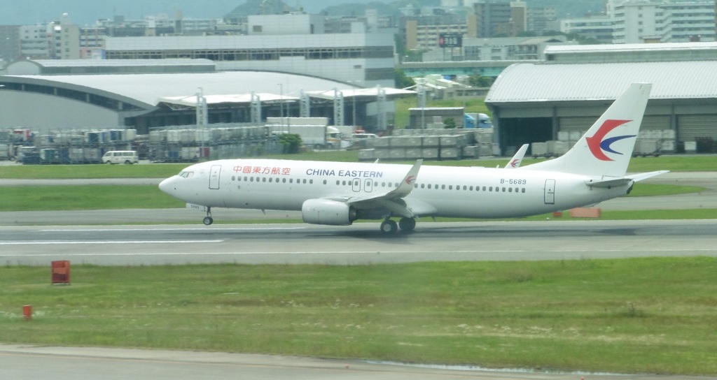 中国東方航空　B737　特別塗装機着陸