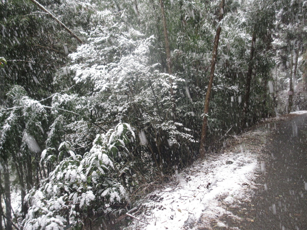 雪景色②