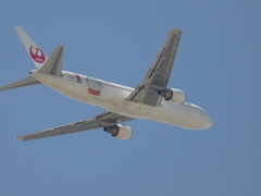JAL767　ドラえもん