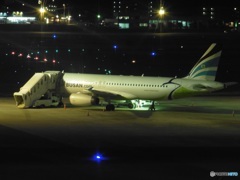 機材不良で整備中の　AIR　BUSAN