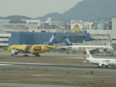C-3PO福岡へ飛来②