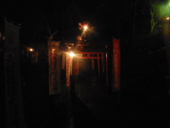 夜の神社にて②