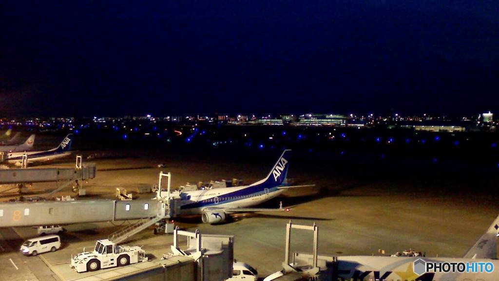 久しぶりの空港②