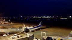 久しぶりの空港②
