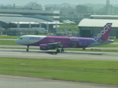 PEACH　JA806P　RUNE着陸