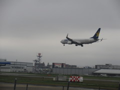 空港北側の丘からの眺め②