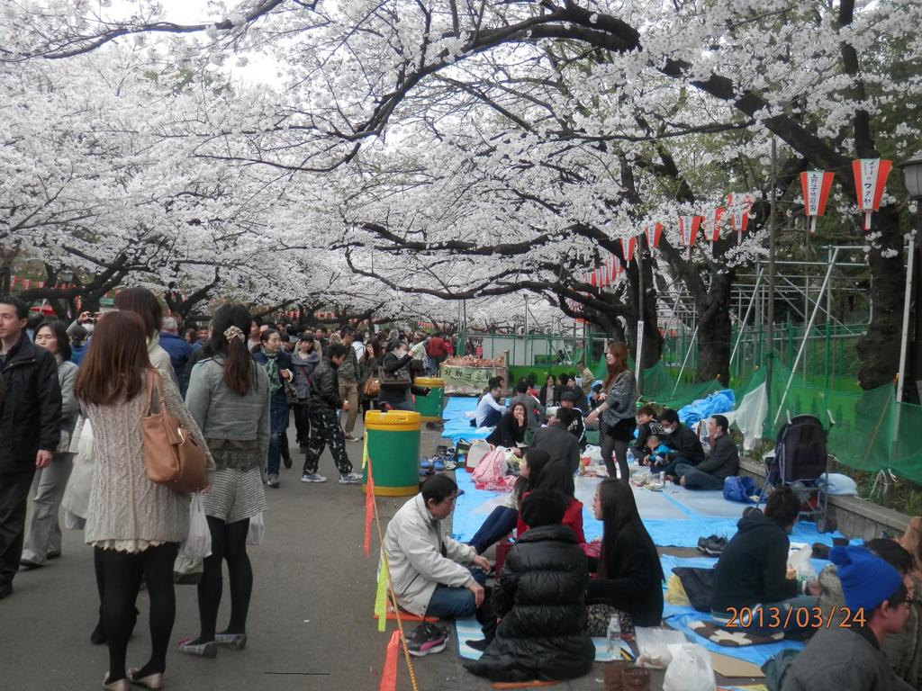 上野公園の花見の人並み