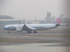 面白い塗装の中華航空機②