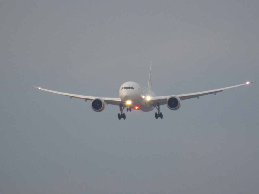 JAL  B787-8   JA847J  福岡空港到着　①