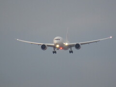 JAL  B787-8   JA847J  福岡空港到着　①