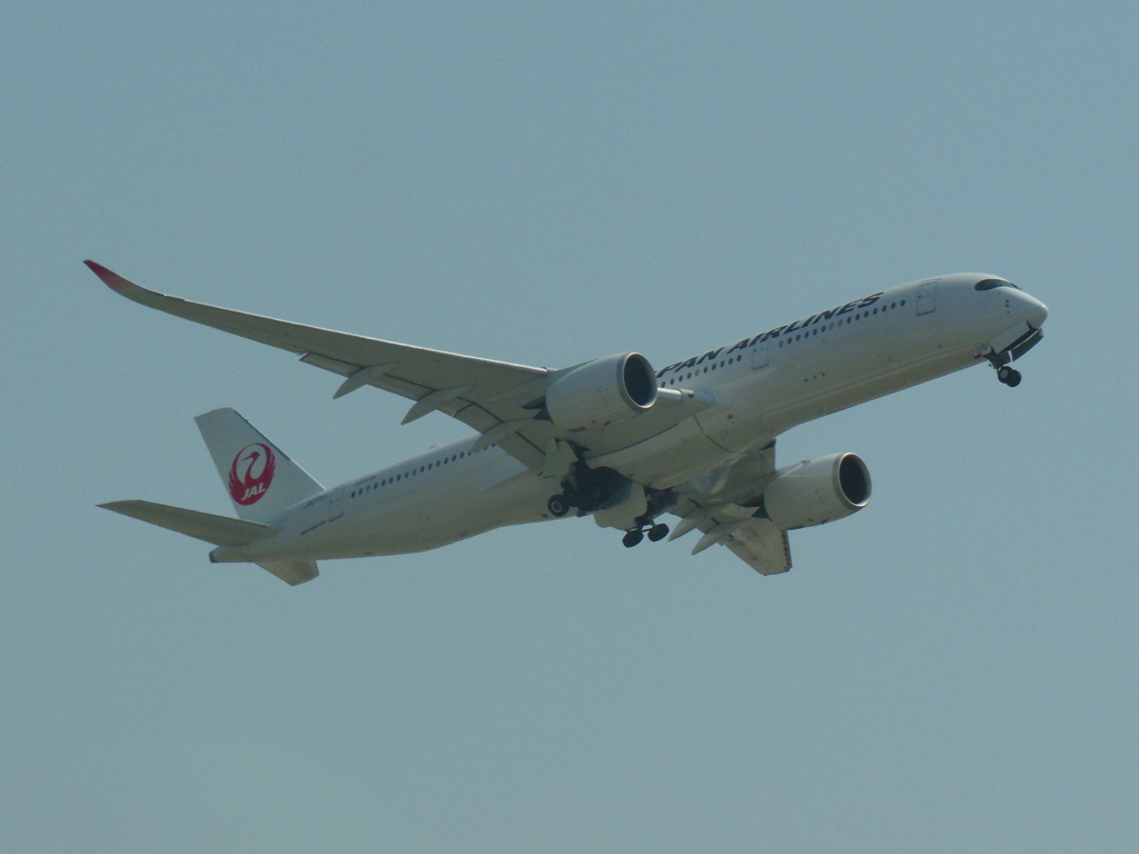 JAL  A350の離陸