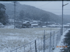 雪の降り積もる山の麓の集落