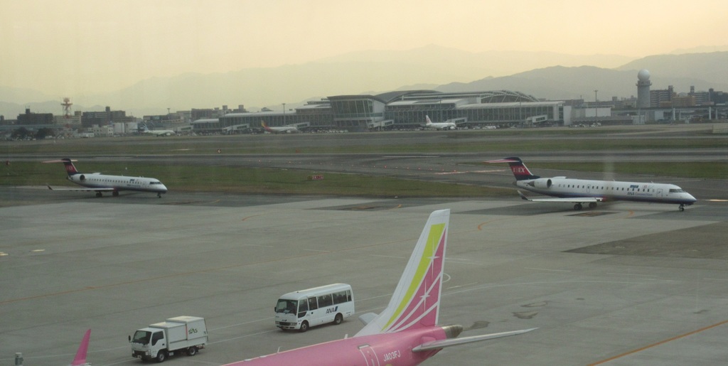 ２機のアイベックス