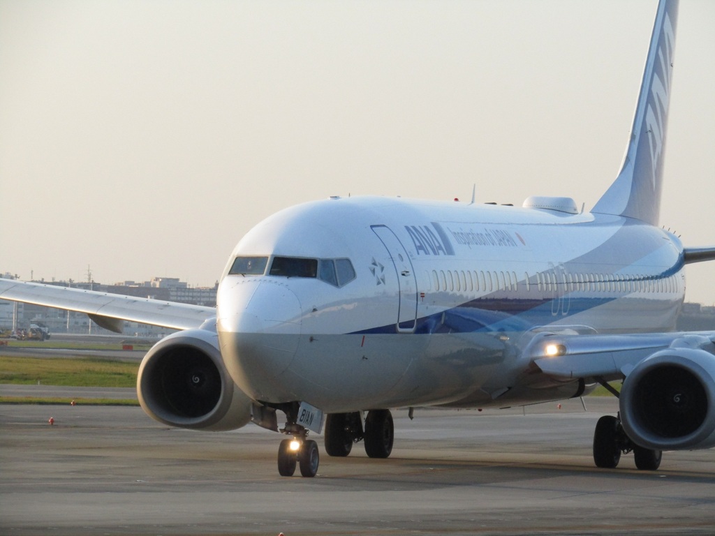 ANA  B737  JA81AN　福岡空港にて