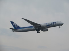 ANA787離陸