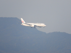JAL  B787-8  福岡空港ランディング　①