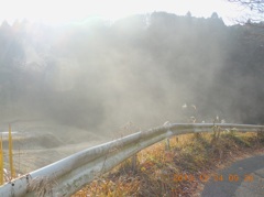 霜が降りた草木から湯気が立ち上る
