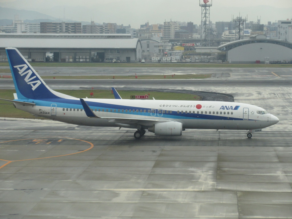 ANA  B737-800  こころをひとつにがんばろう