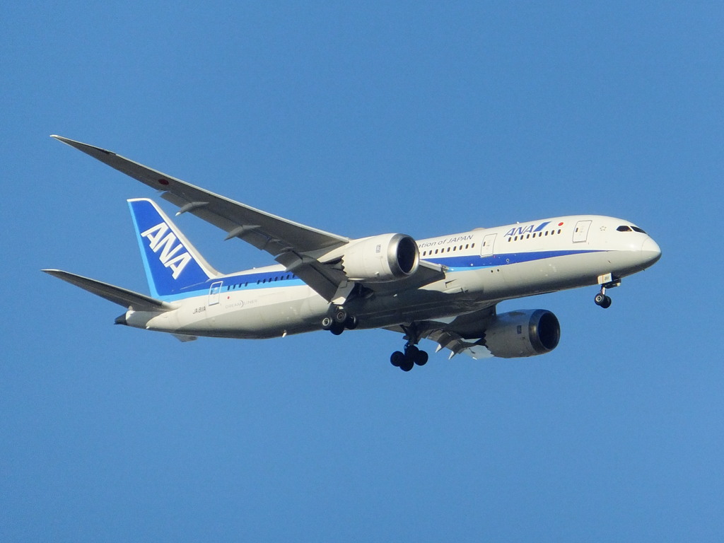 ANA  B787-8　②