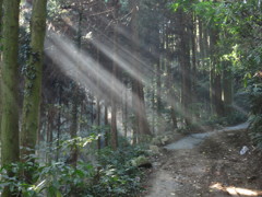 山に差し込む太陽光