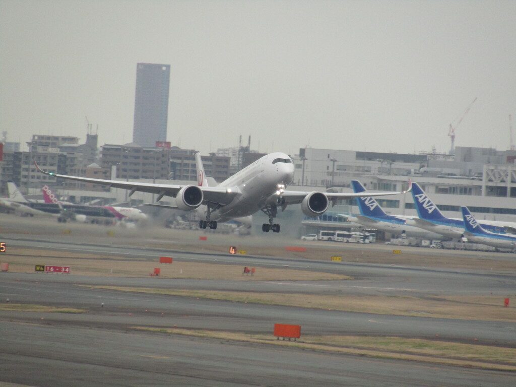JAL  A350 の離陸