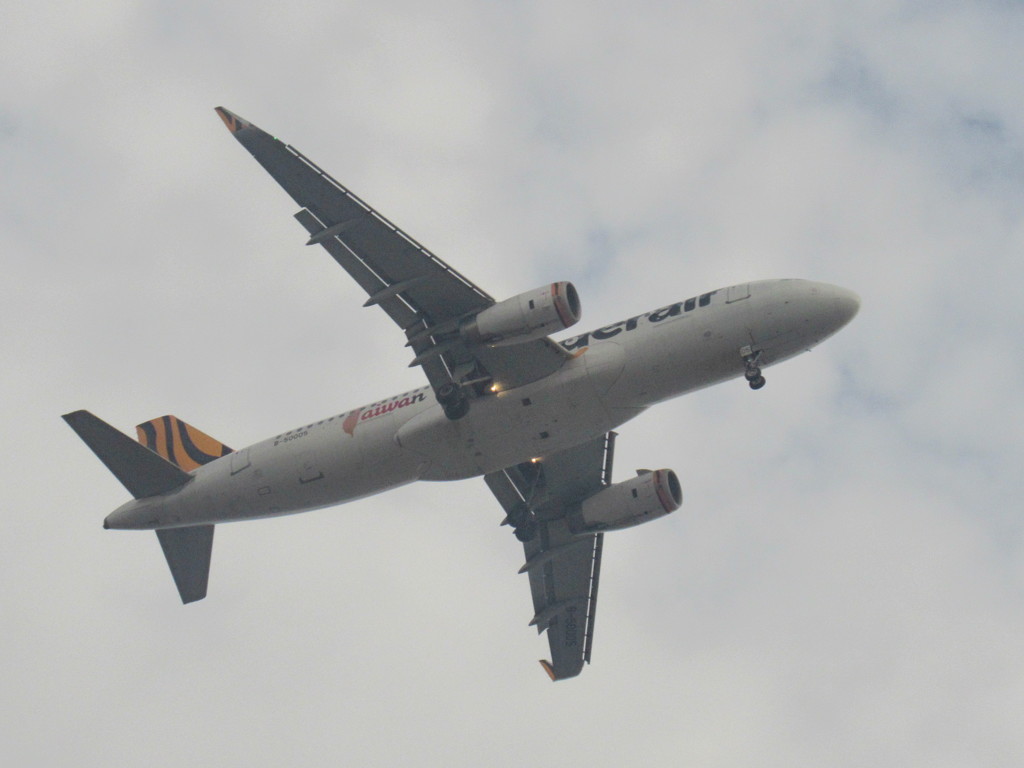 着陸タイガーエア