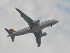 着陸タイガーエア