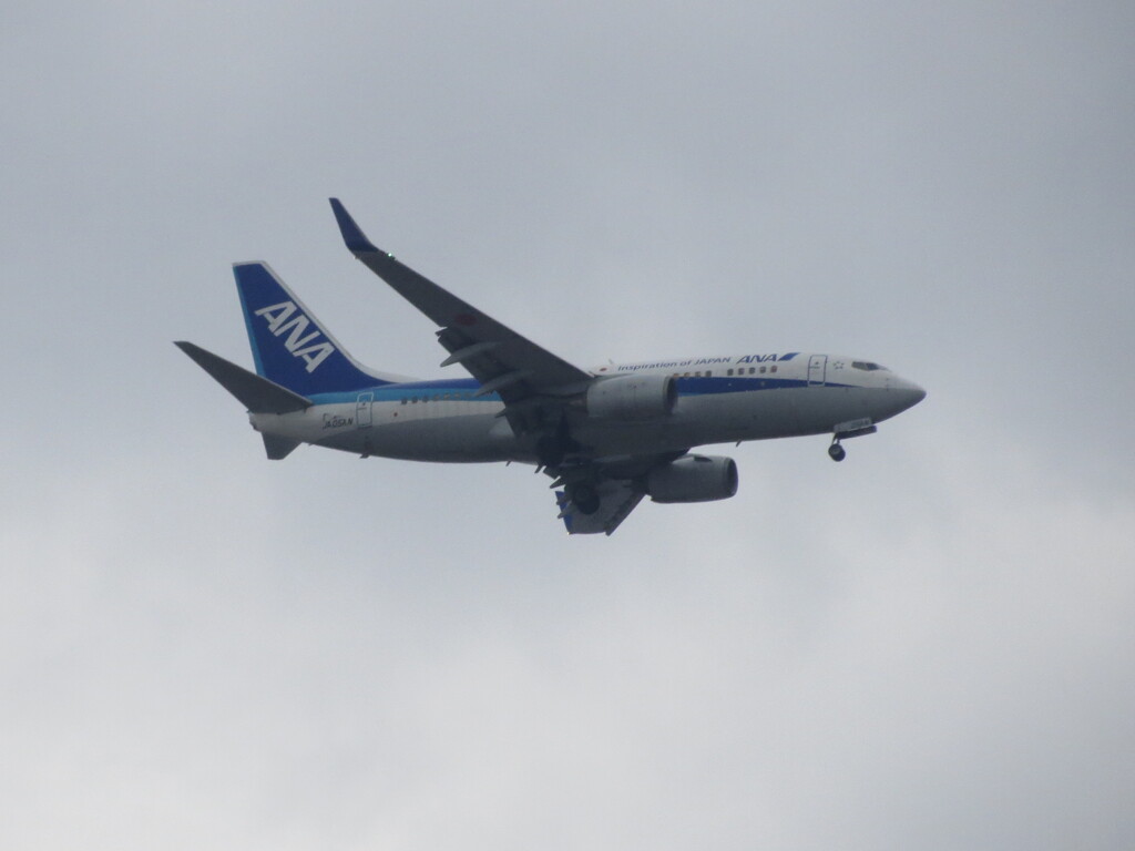 ANA  B737-700　福岡空港ランディング