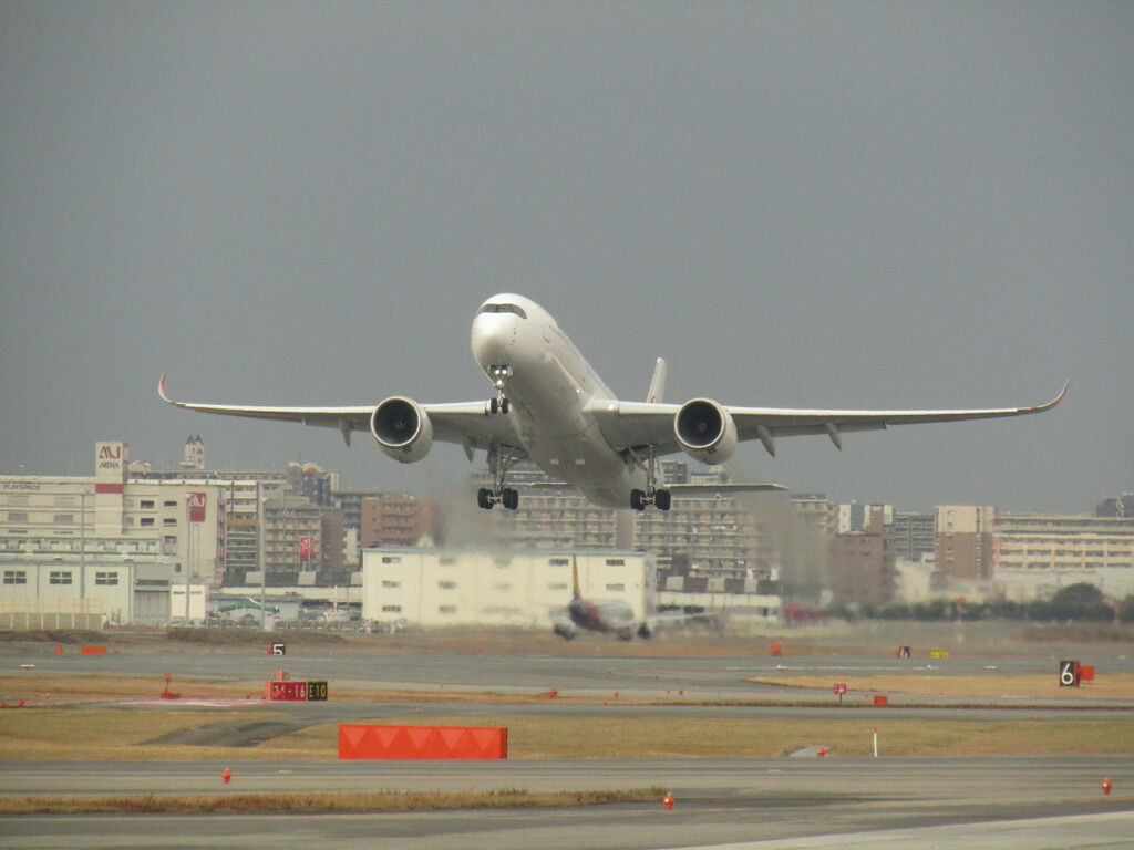 JAL  A350　福岡離陸