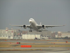 JAL  A350　福岡離陸