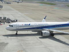 ANA  A321neo  JA141A　福岡空港にて