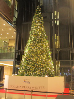 天神警固公園のイルミネーション　⑳