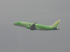 離陸　FDAティーグリーン