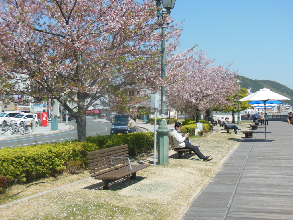 尾道千光寺公園　⑦