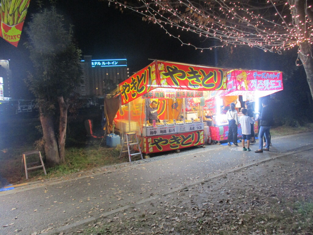 佐賀県鳥栖市中央公園のイルミネーション　㉕