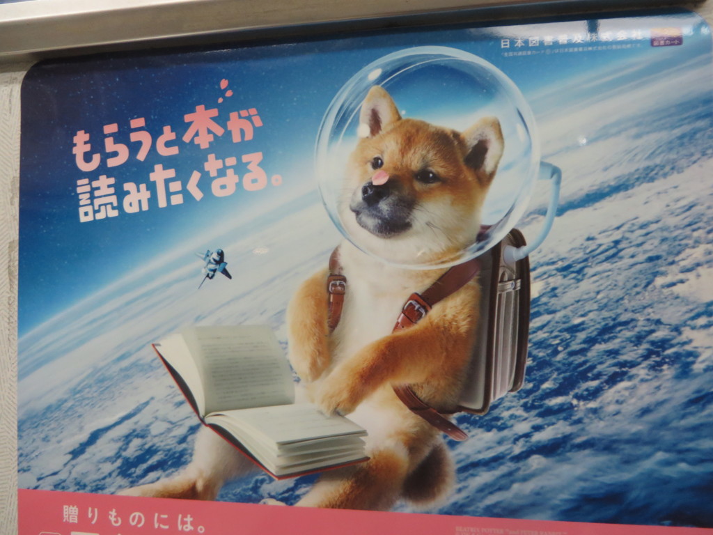 もらうと本が読みたくなる