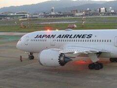 JAL  B787-8の出発