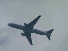 ANA  B767-300離陸