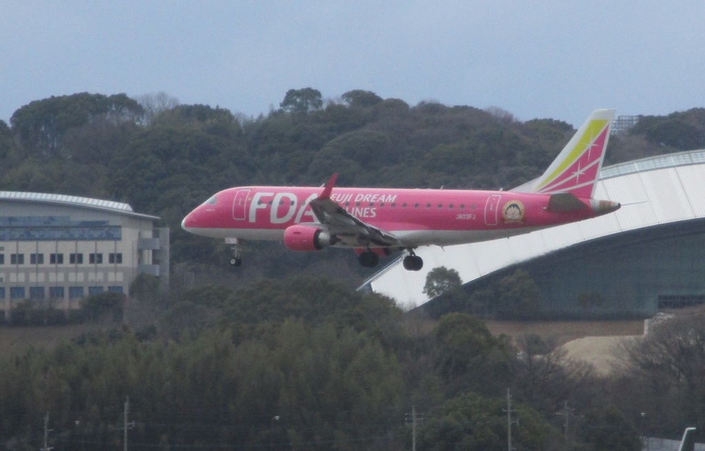 FDA　 JA03FJ　ランディング　