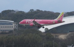 FDA　 JA03FJ　ランディング　