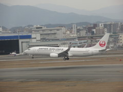 JAL  B737-800着陸