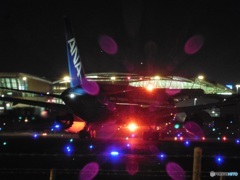 B787とアンコリ①