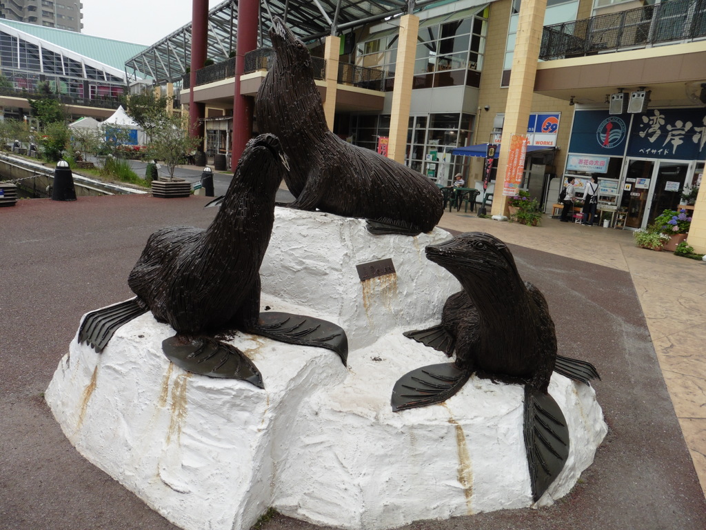 博多港のイルカのハクセイ