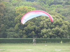 パラグライダーの練習らしき光景