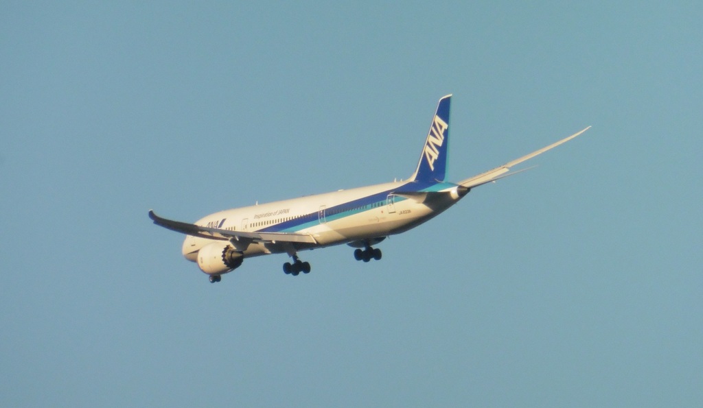 ANA  B787-9の旋回
