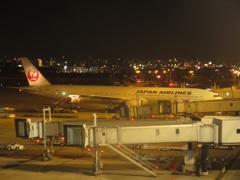 JAL　B777-300の到着