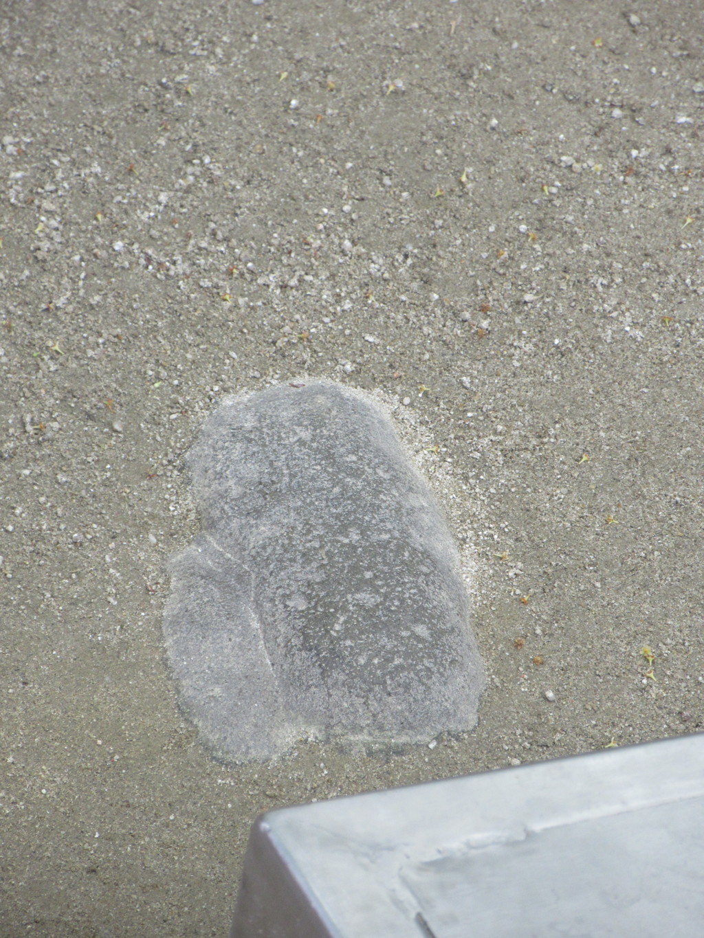 箱崎宮の湧出石②