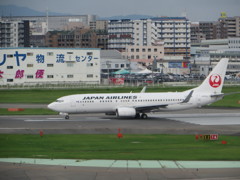 JAPAN　AIRLINES　B737