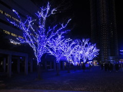 福岡タワーイルミネーション　②