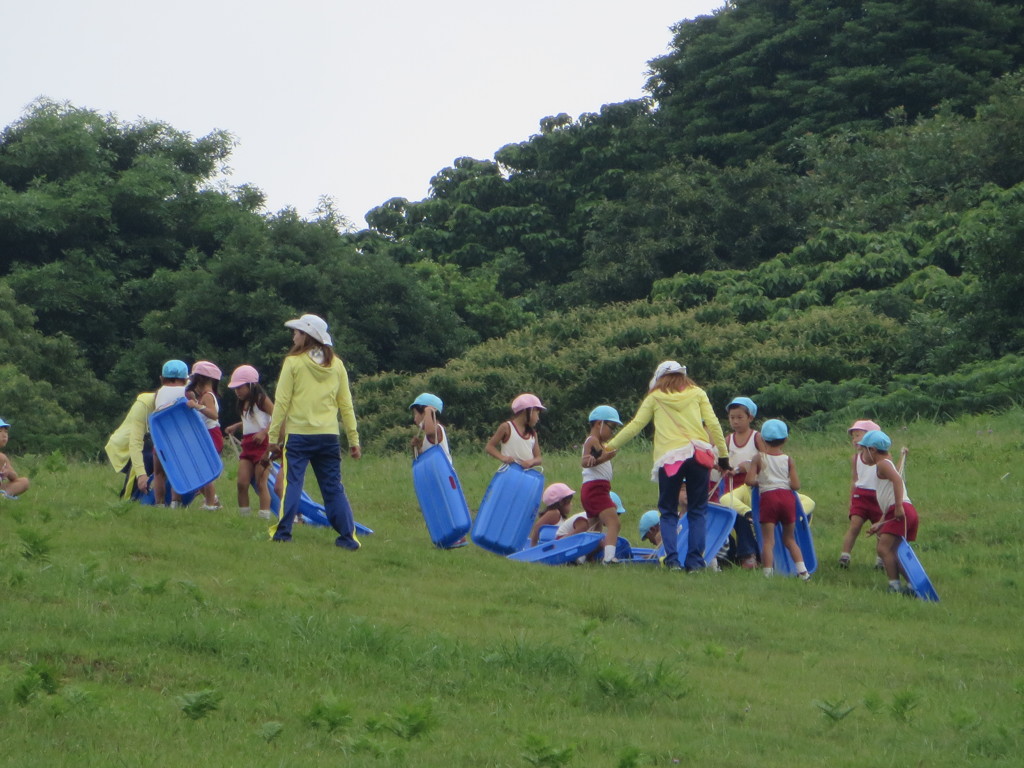 草原で遊ぶ園児たち